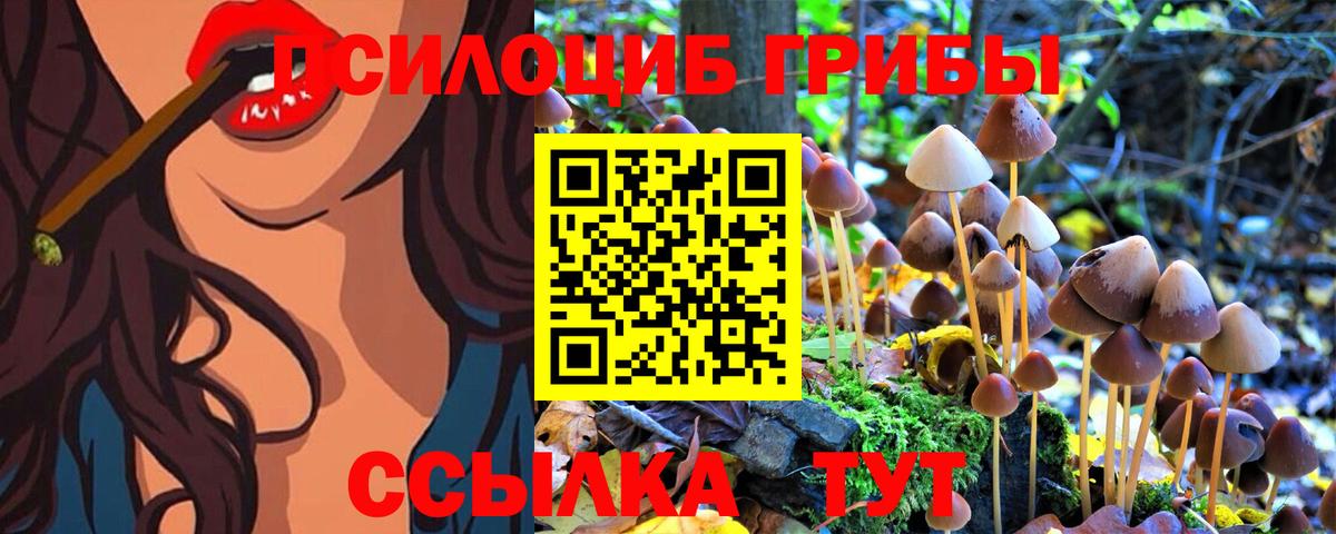 Галлюциногенные грибы MAGIC MUSHROOMS Бахчисарай